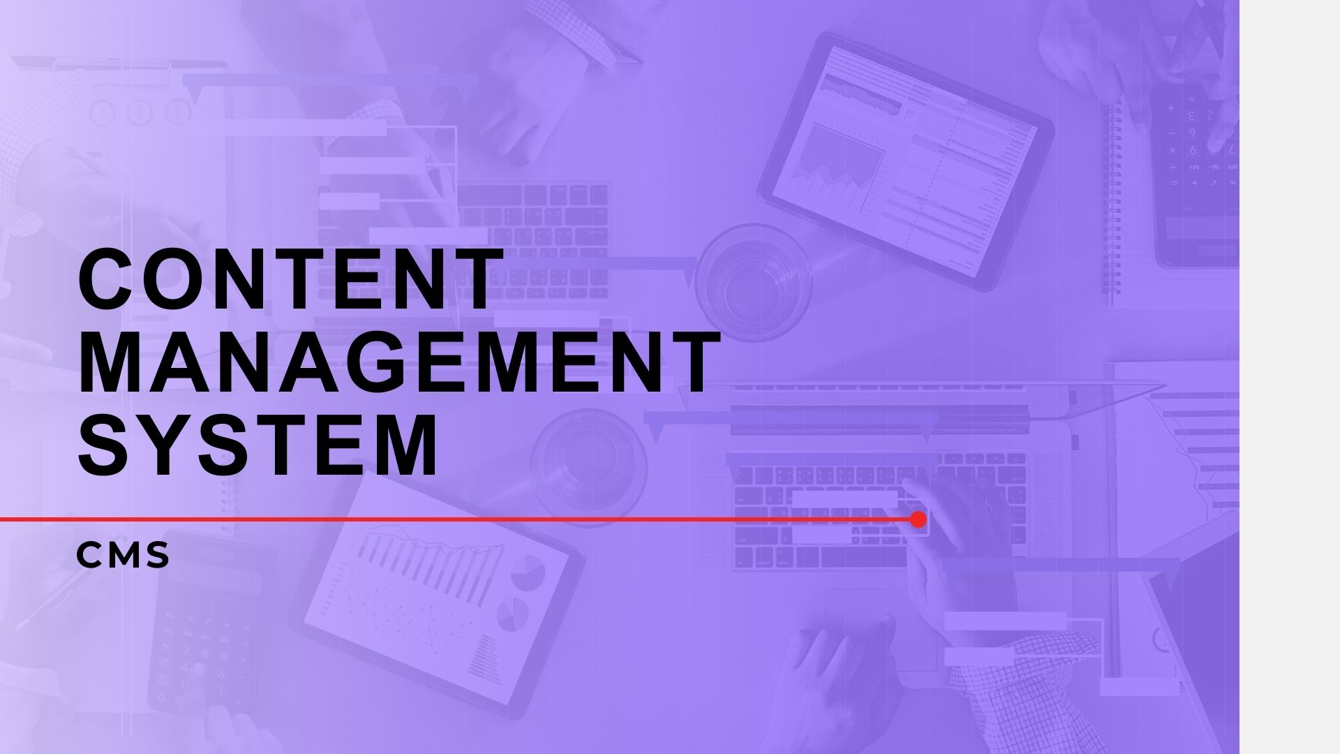 CMS (Content Management System)